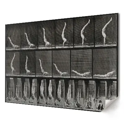 Tablou canvas modern Evoluția mișcării în gimnastica ritmică