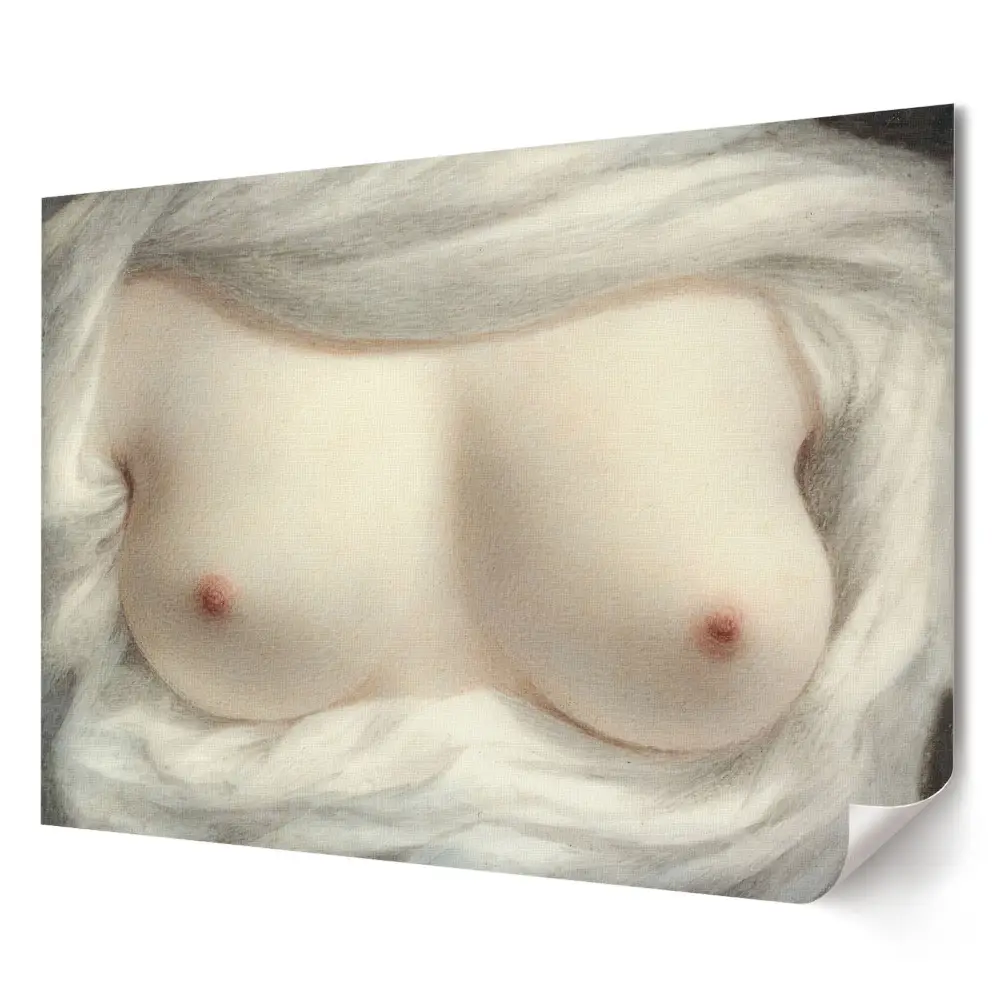 Tablou canvas modern Intimitate în forme delicate