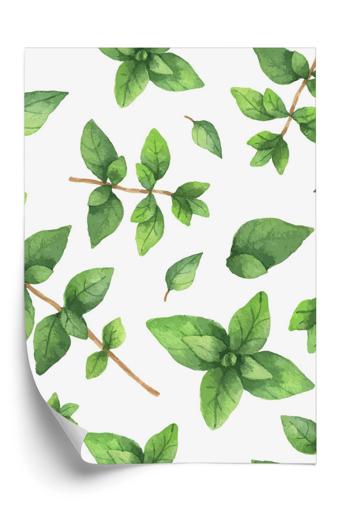 Tapet Ierburi de oregano trase