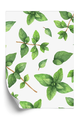 Tapet Ierburi de oregano trase