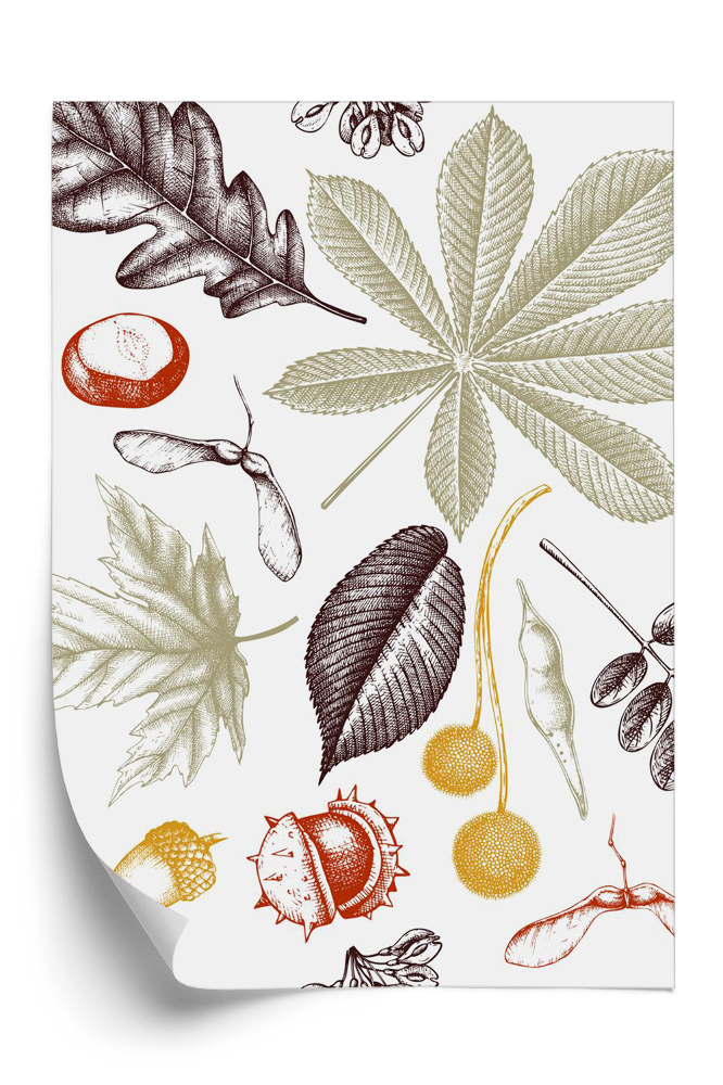 Tapet Model de toamnă cu frunze de castan și ghinde