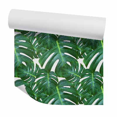 Tapet decorativ Monstera verde deschis