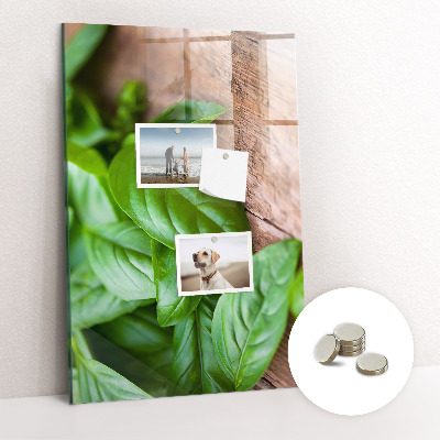 Tablă magnetică Busuioc