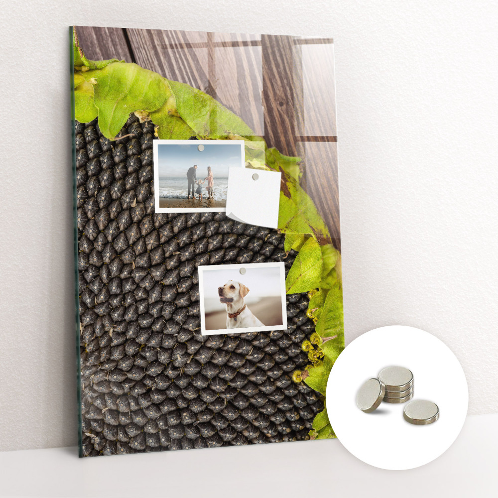 Tablă magnetică sticla Seminte de floarea soarelui