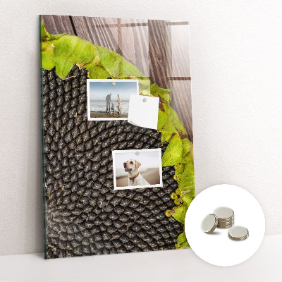 Tablă magnetică sticla Seminte de floarea soarelui