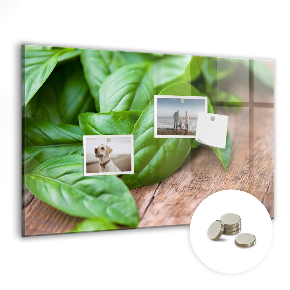 Tablă magnetică birou Frunze de busuioc