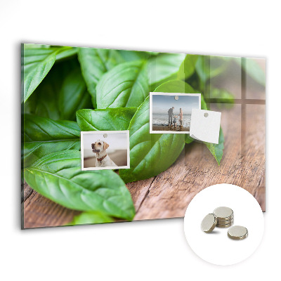 Tablă magnetică birou Frunze de busuioc