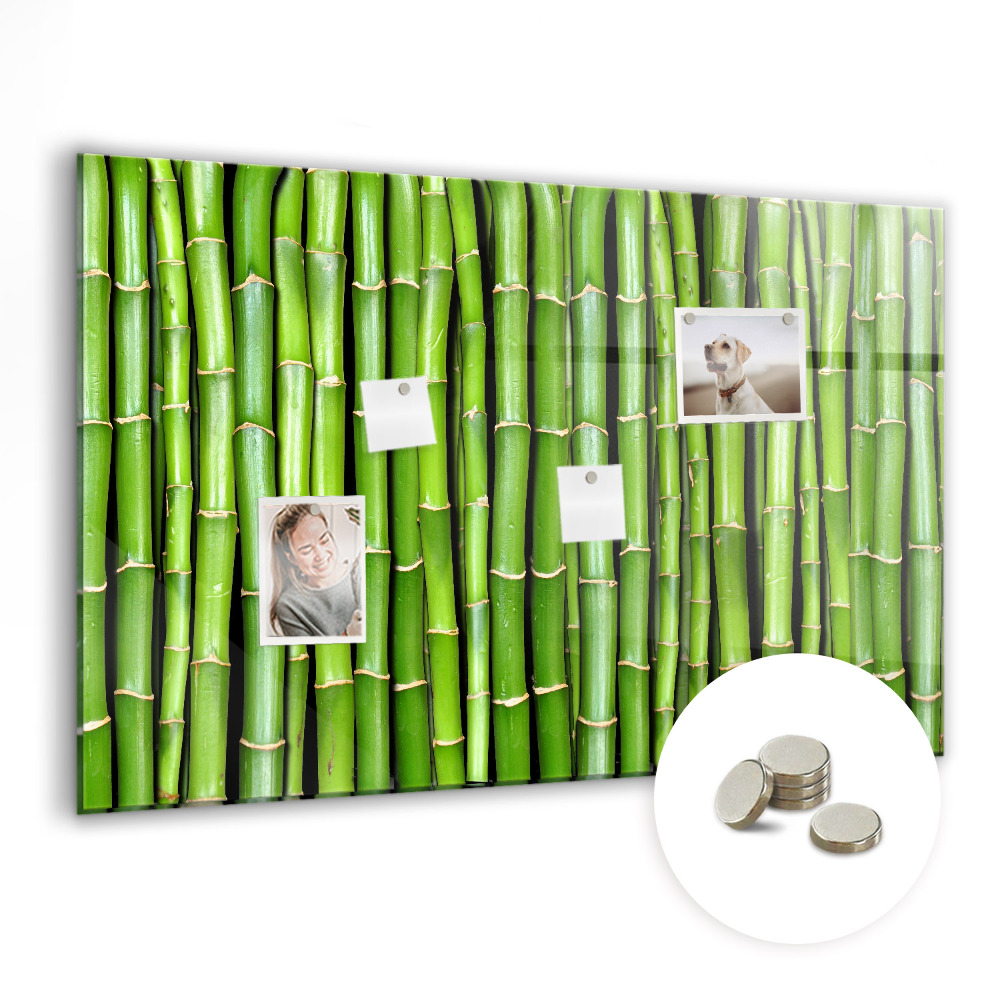Tablă magnetică de perete Lăstarii verzi de bambus