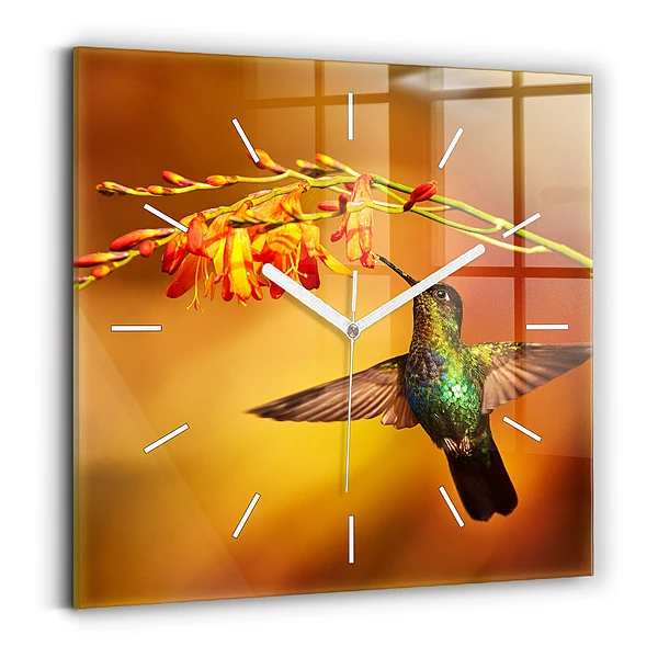 Ceas pătrat de perete din sticlă Pasăre colibri