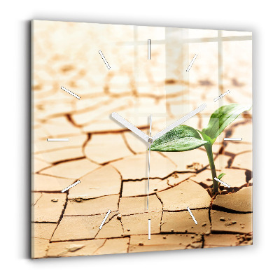 Ceas pătrat de perete din sticlă Plantați în sol uscat