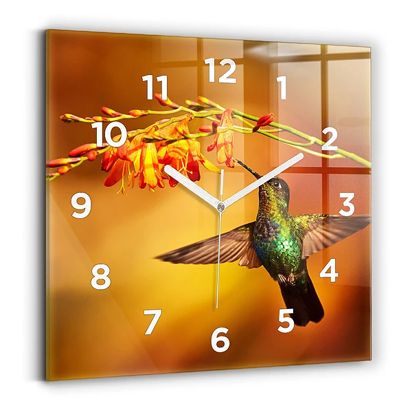 Ceas pătrat de perete din sticlă Pasăre colibri