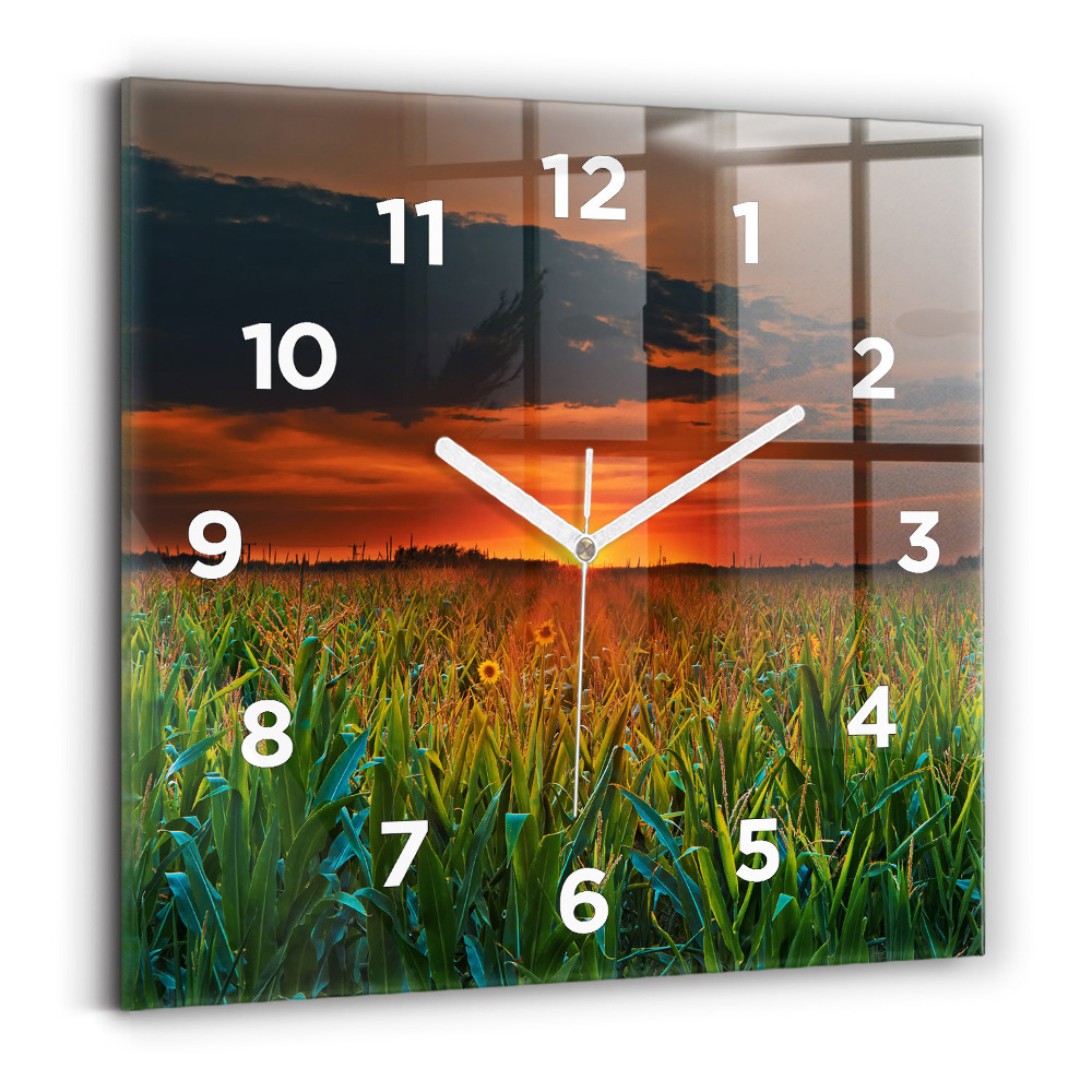 Ceas pătrat de perete din sticlă Floarea soarelui în pajiște