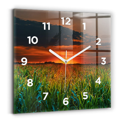 Ceas pătrat de perete din sticlă Floarea soarelui în pajiște