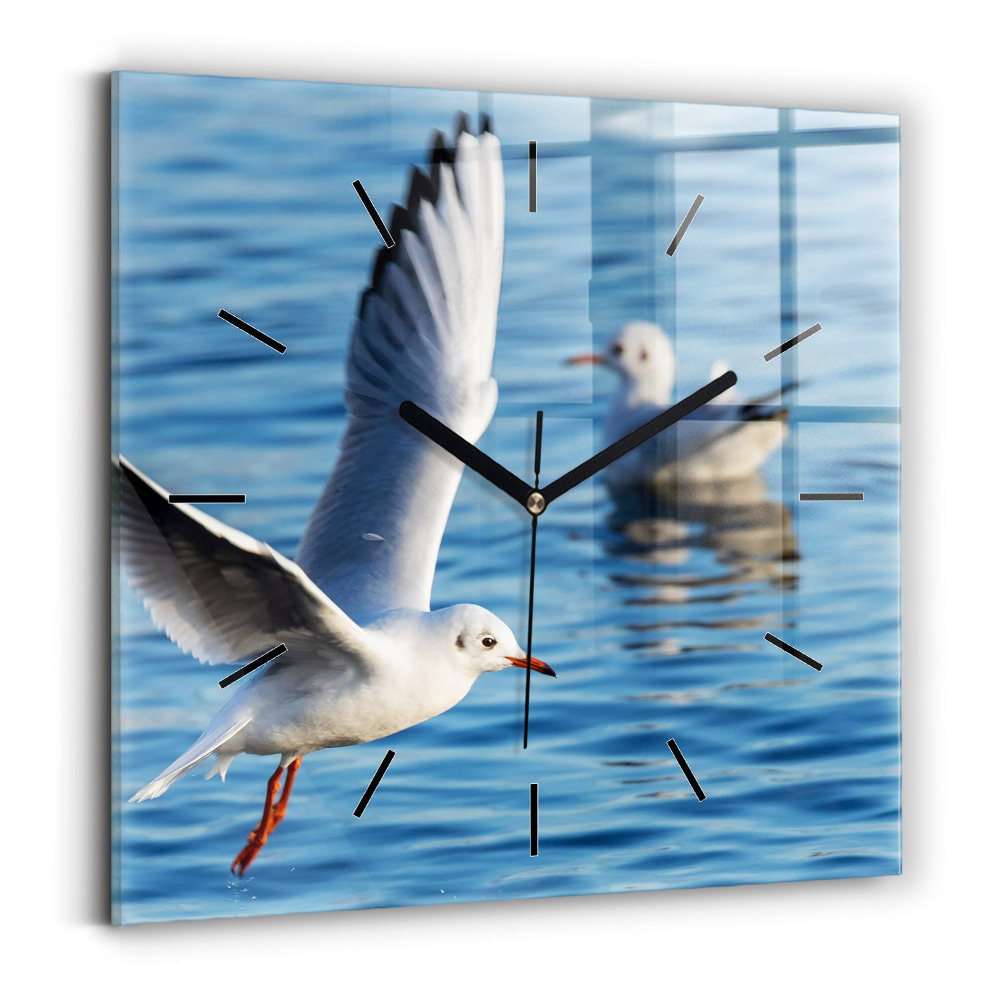 Ceas pătrat de perete din sticlă Pescăruși în Gdynia