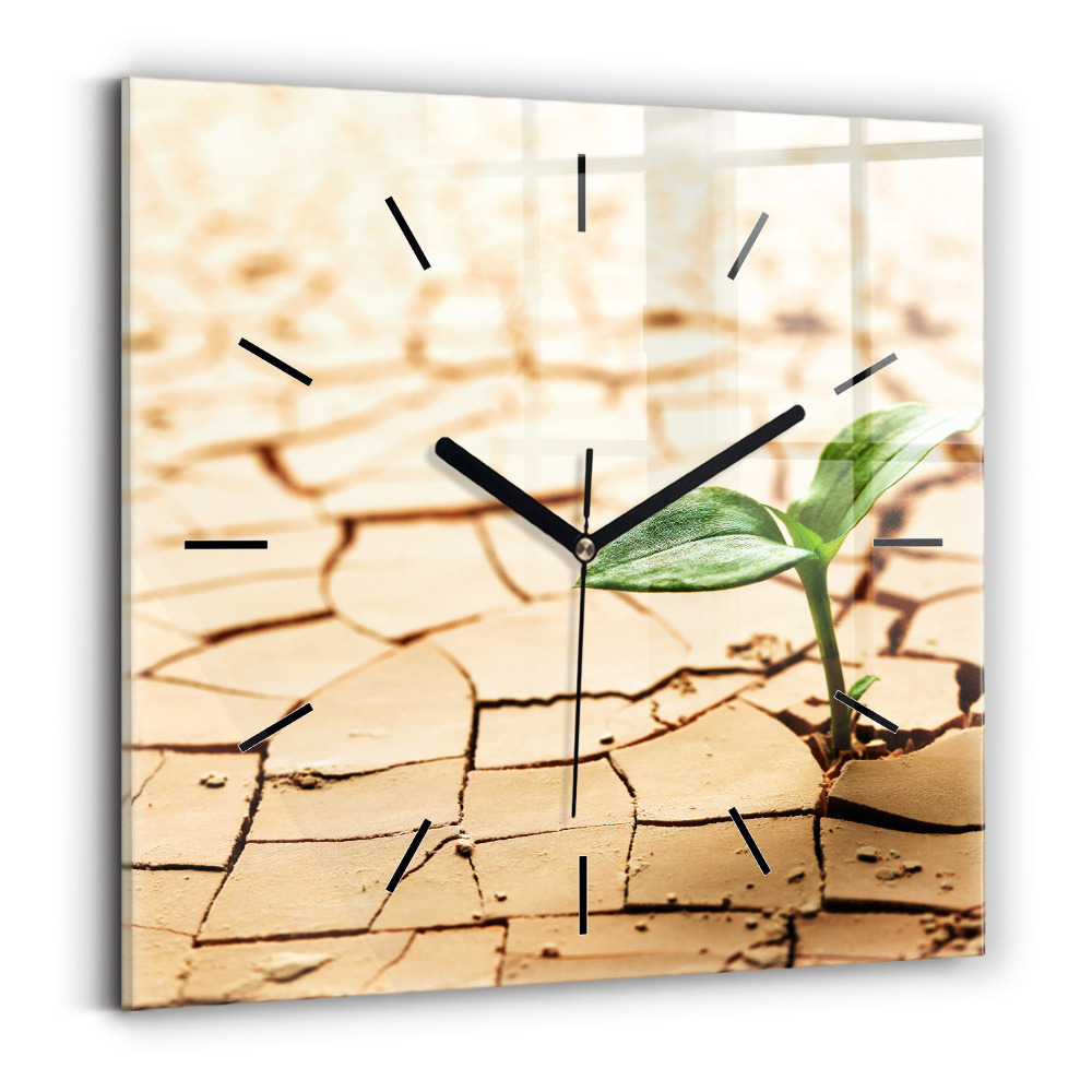 Ceas pătrat de perete din sticlă Plantați în sol uscat