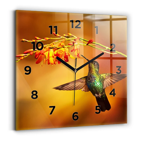 Ceas pătrat de perete din sticlă Pasăre colibri