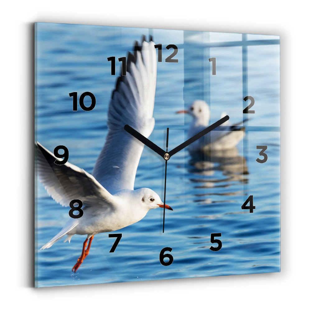 Ceas pătrat de perete din sticlă Pescăruși în Gdynia