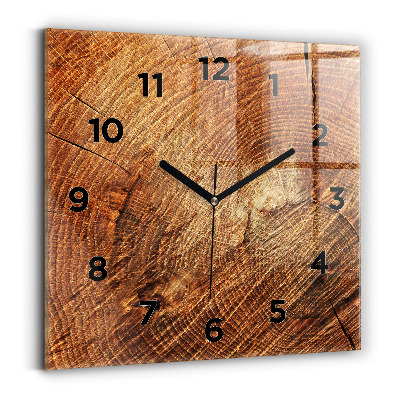 Ceas perete din sticlă pătrat Trunchi bătrân de copac