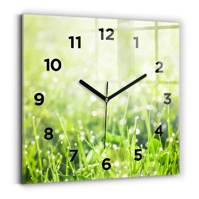 Ceas pătrat de perete din sticlă iarbă verde