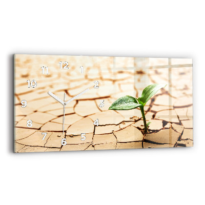 Ceas de sticlă pe perete orizontale Plantați în sol uscat