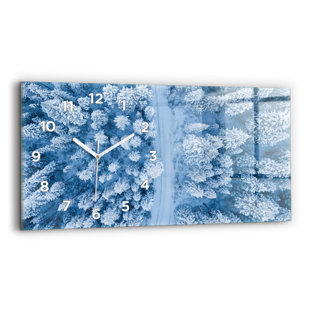 Ceas perete din sticlă orizontale Pădure din vedere de pasăre