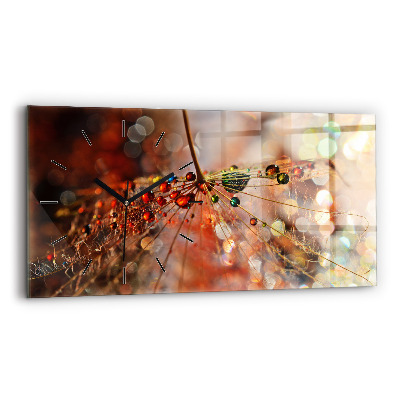 Ceas orizontale de perete din sticlă Păpădie cu rouă