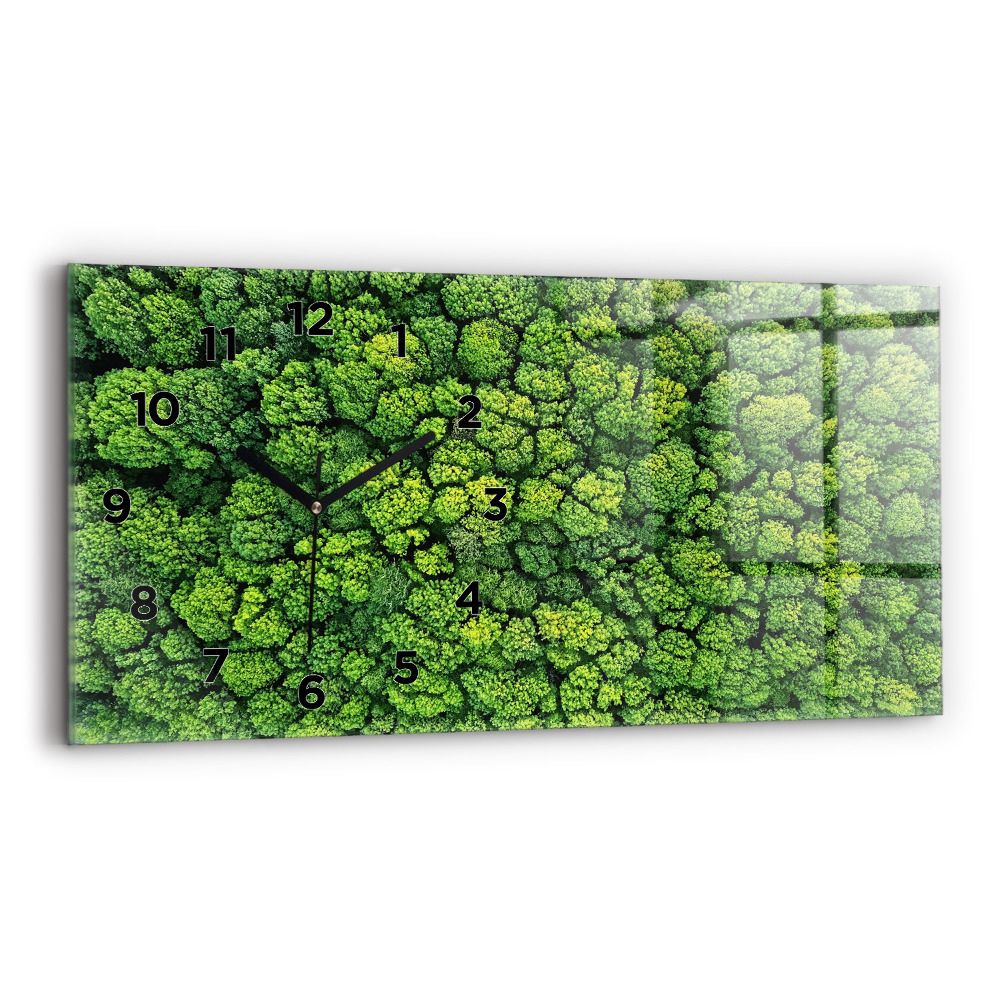 Ceas orizontale de perete din sticlă Pădure din vedere de ochi de pasăre