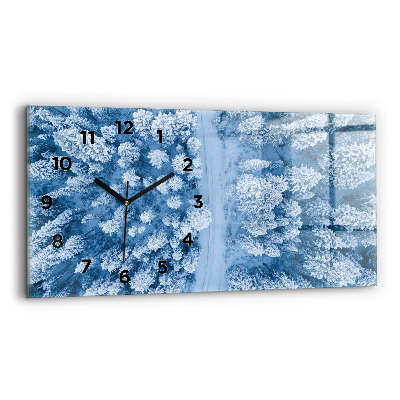 Ceas perete din sticlă orizontale Pădure din vedere de pasăre