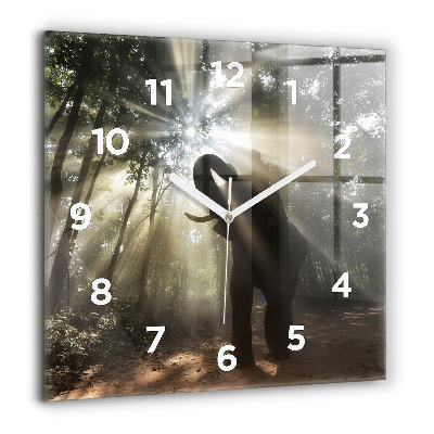 Ceas din sticlă pătrat ștampila Texas