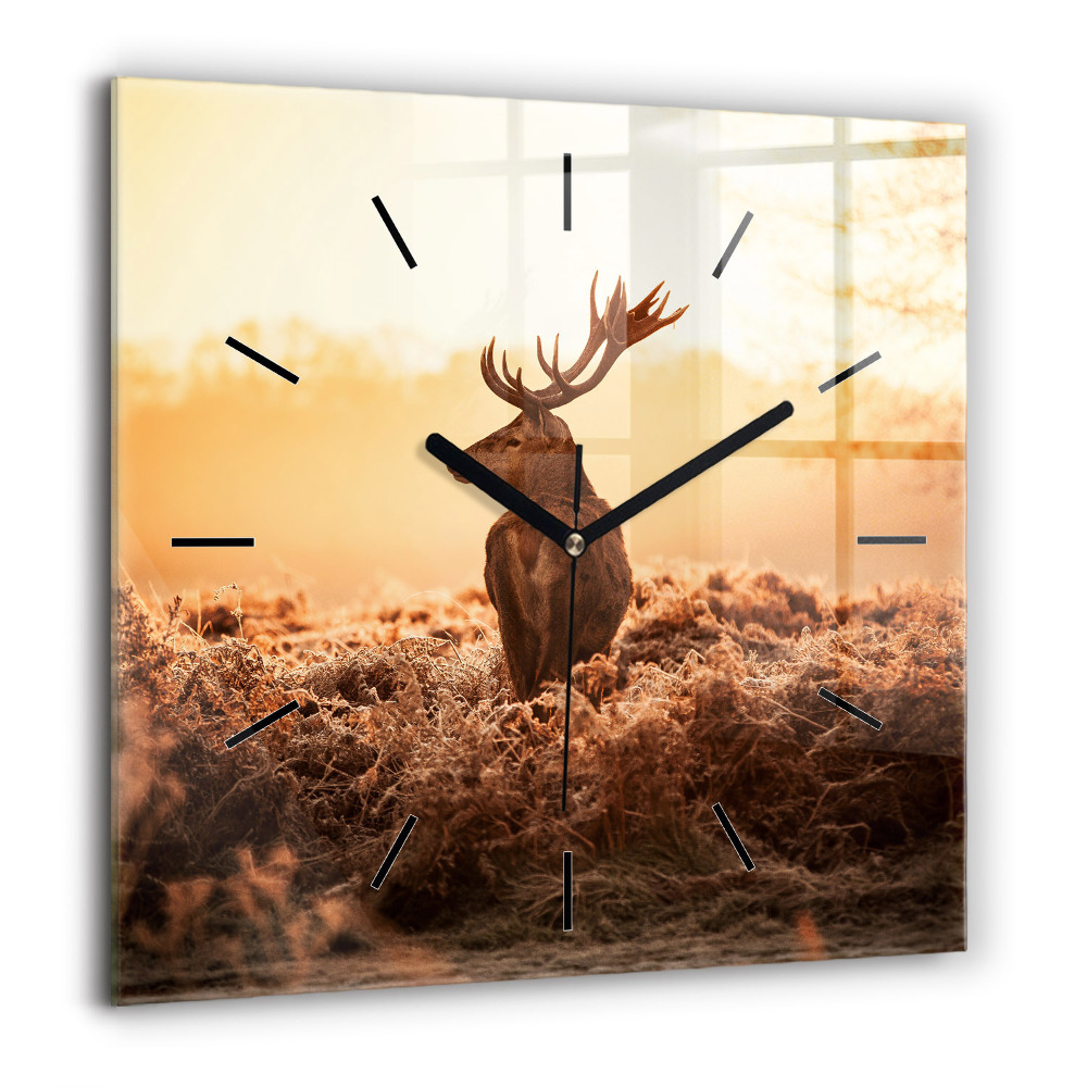 Ceas pătrat de perete din sticlă Wrocław - Orașul Vechi