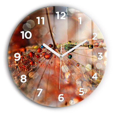 Ceas din sticlă rotund Păpădie cu rouă